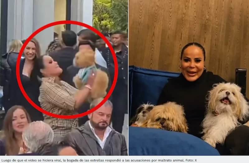 Mariana Gutiérrez, conocida como la “abogada de las estrellas”, maltrata a su perrito
