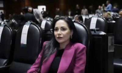 Mery Pozos, diputada federal por Guadalajara