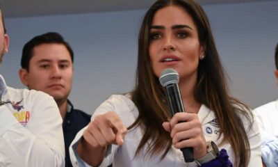 Alessandra Rojo de la Vega advierte riesgo autoritario en México por propuesta para anular elecciones por “injerencia extranjera”.