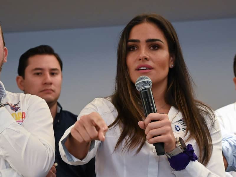 Alessandra Rojo de la Vega advierte riesgo autoritario en México por propuesta para anular elecciones por “injerencia extranjera”.