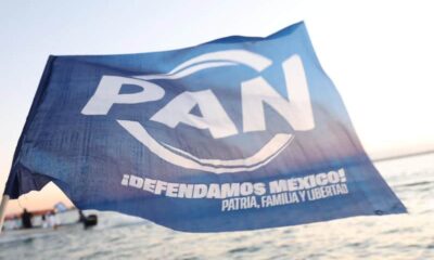 Bandera del Partido Acción Nacional