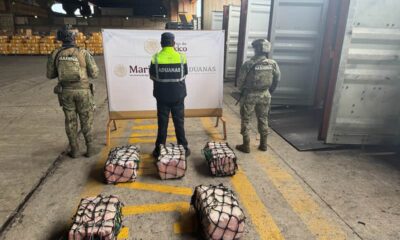 Decomiso de droga en el puerto de Lázaro Cárdenas