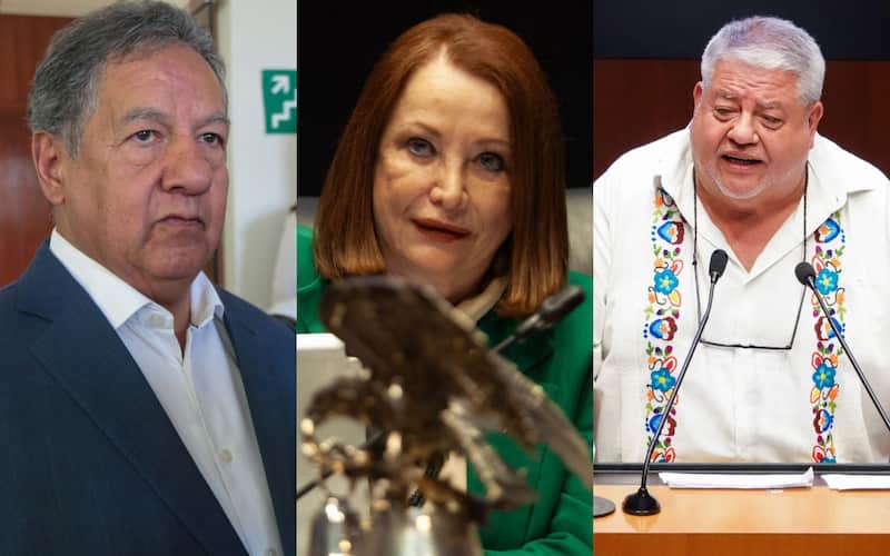Higinio Martinez, Laura Itzel Castillo y  Manuel Huerta Ladrón, senadores de Morena